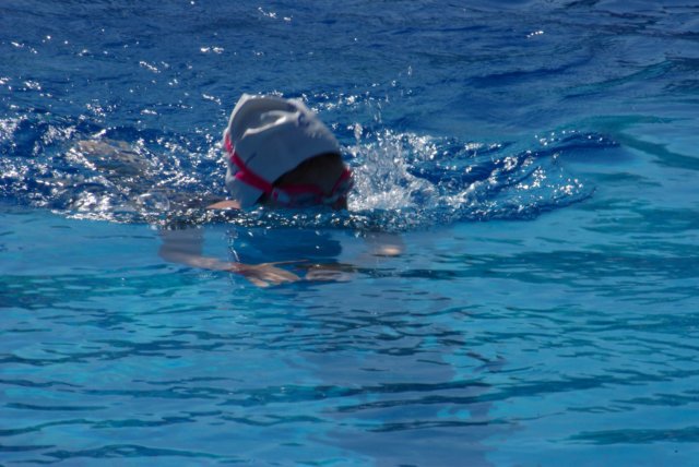 imgp0914.jpg