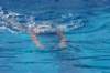 imgp0915_small.jpg