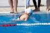 imgp0925_small.jpg