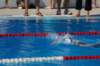 imgp0993_small.jpg