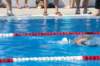 imgp0994_small.jpg