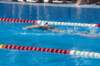 imgp0997_small.jpg