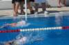 imgp1005_small.jpg