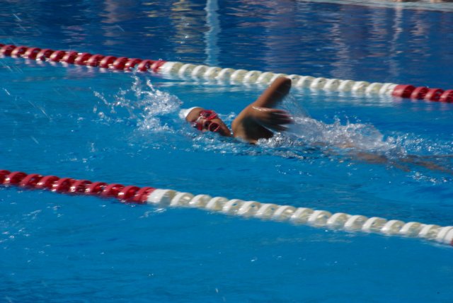 imgp1011.jpg