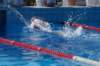 imgp1013_small.jpg