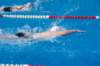 imgp1019_small.jpg