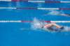imgp1024_small.jpg