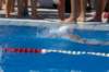 imgp1031_small.jpg