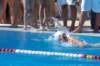imgp1033_small.jpg