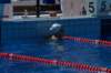 imgp1054_small.jpg