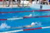 imgp1060_small.jpg