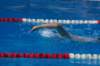 imgp1063_small.jpg