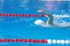 imgp1064_small.jpg