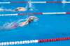 imgp1072_small.jpg