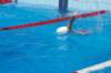 imgp1074_small.jpg