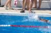 imgp1086_small.jpg