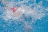 imgp1089_small.jpg