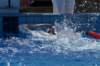 imgp1094_small.jpg