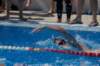 imgp1112_small.jpg