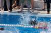 imgp1113_small.jpg
