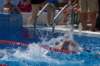 imgp1116_small.jpg