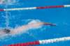 imgp1119_small.jpg