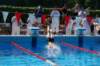 imgp1131_small.jpg