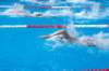 imgp1137_small.jpg