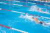 imgp1138_small.jpg