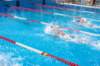 imgp1139_small.jpg