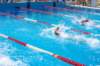 imgp1140_small.jpg