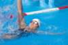 imgp1154_small.jpg