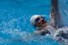 imgp1155_small.jpg