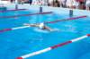 imgp1162_small.jpg