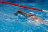 imgp1174_small.jpg