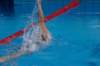 imgp1199_small.jpg