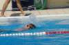 imgp1203_small.jpg