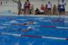 imgp1219_small.jpg