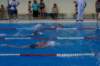imgp1220_small.jpg