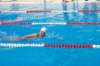 imgp1222_small.jpg
