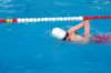 imgp1229_small.jpg