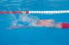 imgp1230_small.jpg