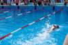 imgp1239_small.jpg