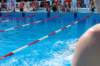 imgp1240_small.jpg