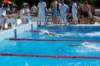 imgp1251_small.jpg