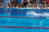 imgp1255_small.jpg