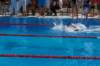 imgp1256_small.jpg