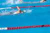 imgp1306_small.jpg