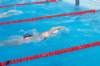 imgp1310_small.jpg