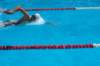 imgp1334_small.jpg
